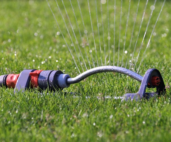 sprinkler-2366751_1280